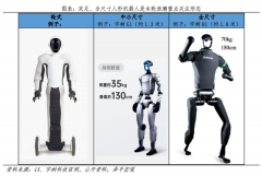 人形机械人、AI眼镜、智能驾驶是典型案例